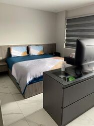 Braddell View (D20), Apartment #580739101
